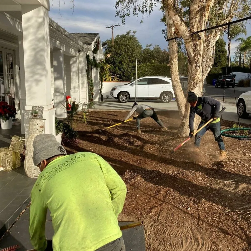 Local yard maintenance for homes in Manhattan Beach, CA by Gary stevents landscape