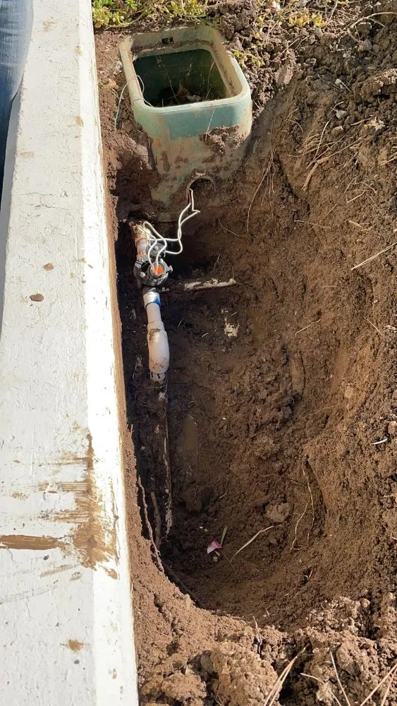 Trusted lawn care service in Manhattan Beach, CA by Gary stevents landscape