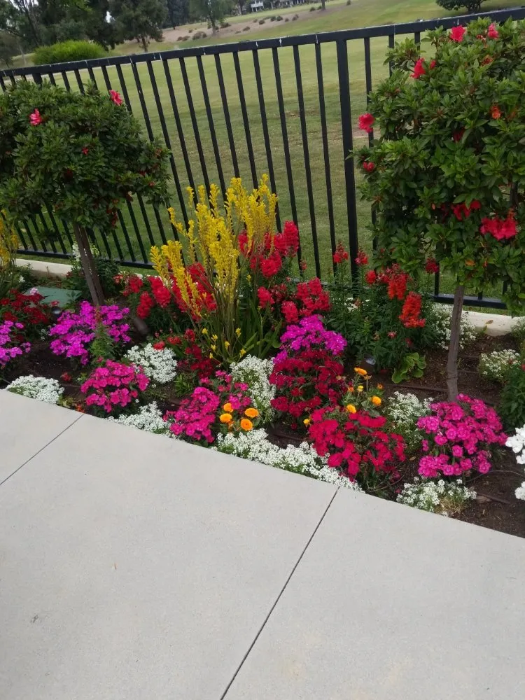 Reliable yard maintenance experts serving Manhattan Beach, CA - Gary stevents landscape