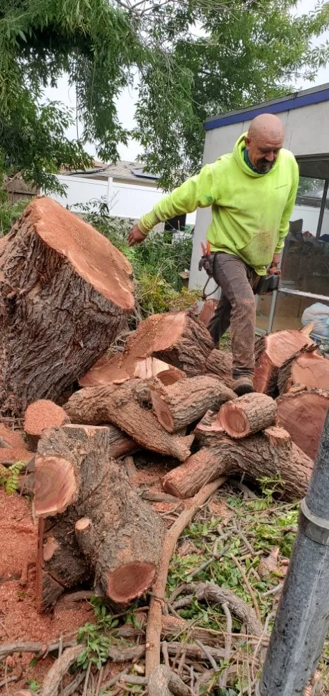 Local landscaping services for outdoor upgrades in Manhattan Beach, CA by Gary stevents landscape
