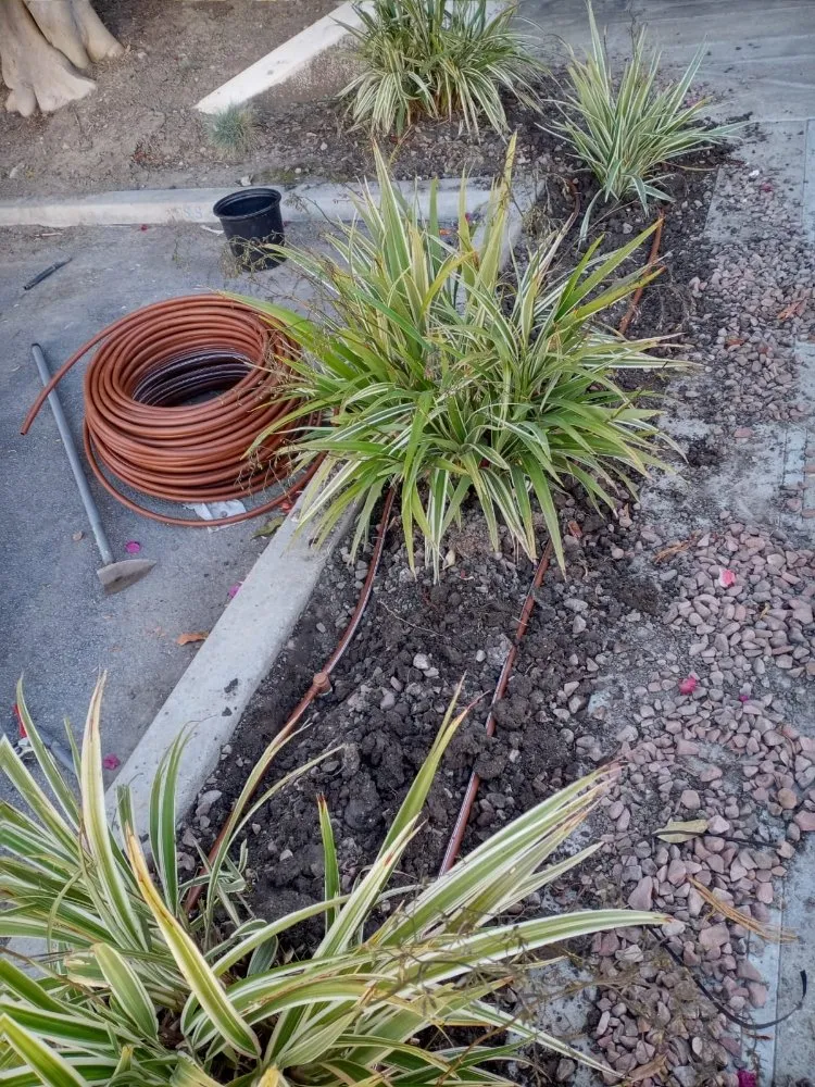 Local garden landscaping experts serving Manhattan Beach, CA - Gary stevents landscape