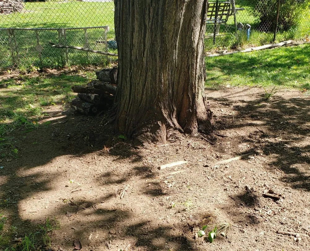 Top-rated residential landscaping for homes in Syracuse, NY by Gary's Edge