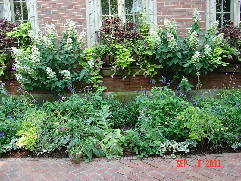 Local yard cleanup service in Chicago, IL by Gary's Finer Landscapes