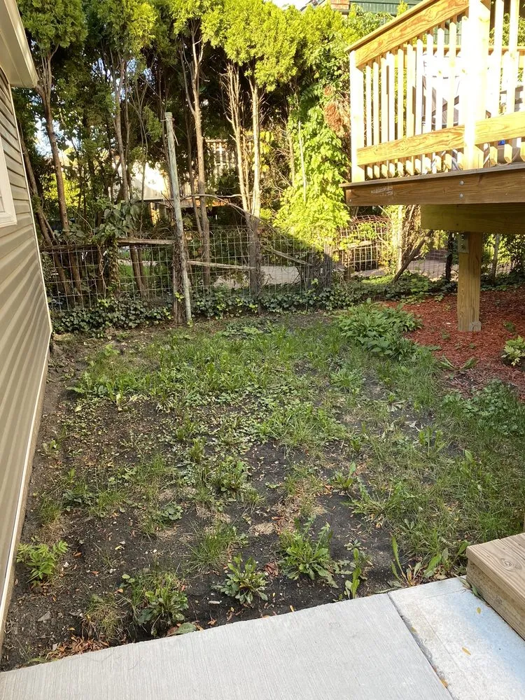 Reliable yard cleanup service experts serving Chicago, IL - Gary's Finer Landscapes