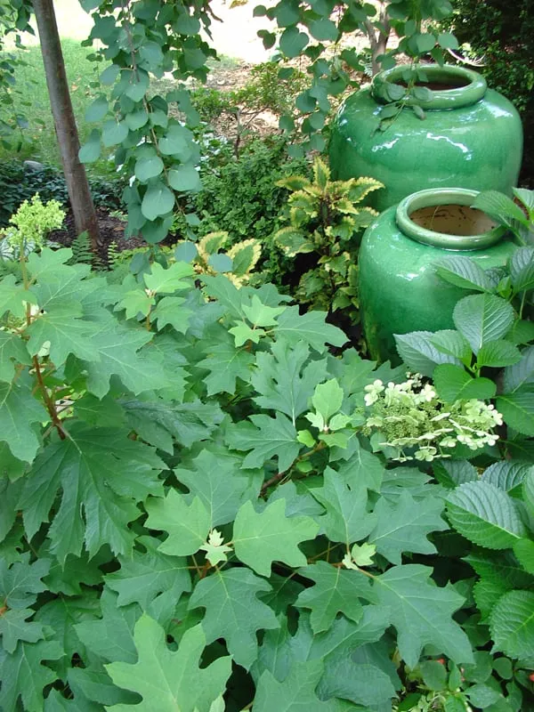 Trusted landscape installation experts serving Chicago, IL - Gary's Finer Landscapes