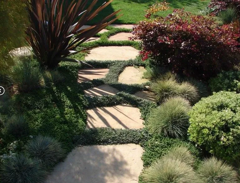 Custom landscape design with custom design in Los Angeles, CA by Gary's Greenery