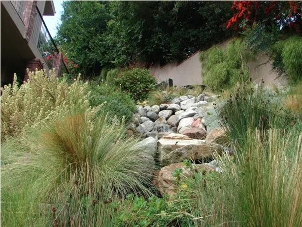 Affordable landscaping services for homes in Los Angeles, CA by Gary's Greenery