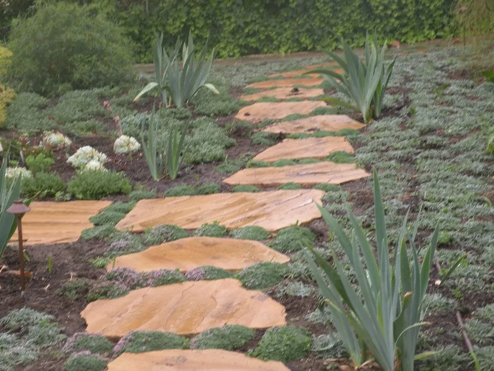 Local yard cleanup service in Los Angeles, CA by Gary's Greenery