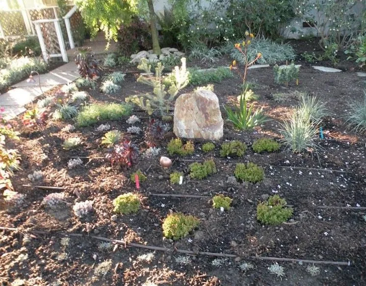 Local garden landscaping near you in Los Angeles, CA by Gary's Greenery