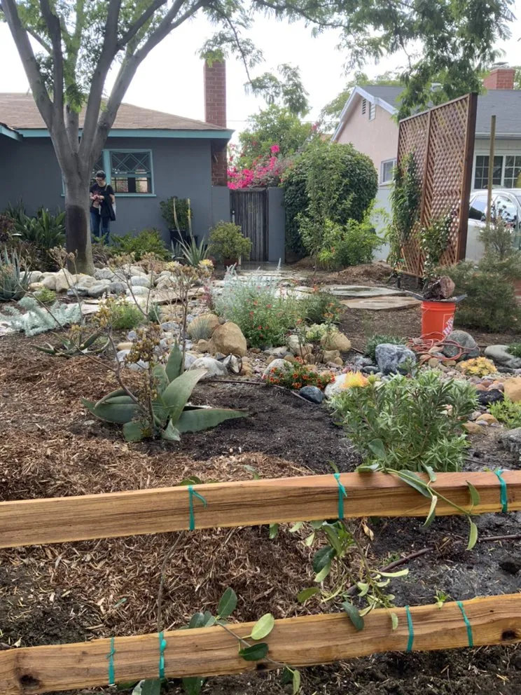 Professional landscape design in Los Angeles, CA - Gary's Greenery