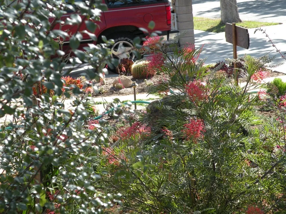 Local yard maintenance for homes in Los Angeles, CA by Gary's Greenery