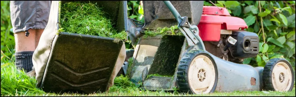 Expert yard maintenance for beautiful yards across Conyers, GA - Gary's Landscaping & Lawncare