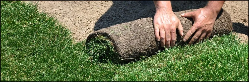 Expert landscaping services in Conyers, GA by Gary's Landscaping & Lawncare