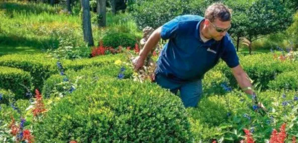 Expert yard cleanup service for year-round maintenance in Lawrenceville, GA by Gary's Landscaping