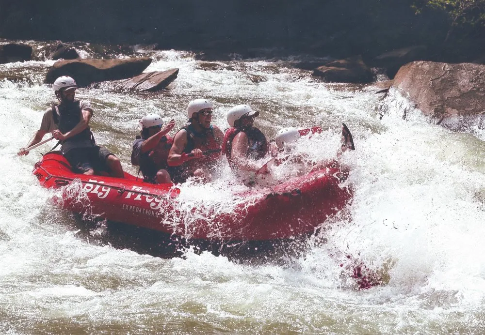 Expert outdoor landscaping experts serving Hamilton, AL - Gary's Lawn Care Service