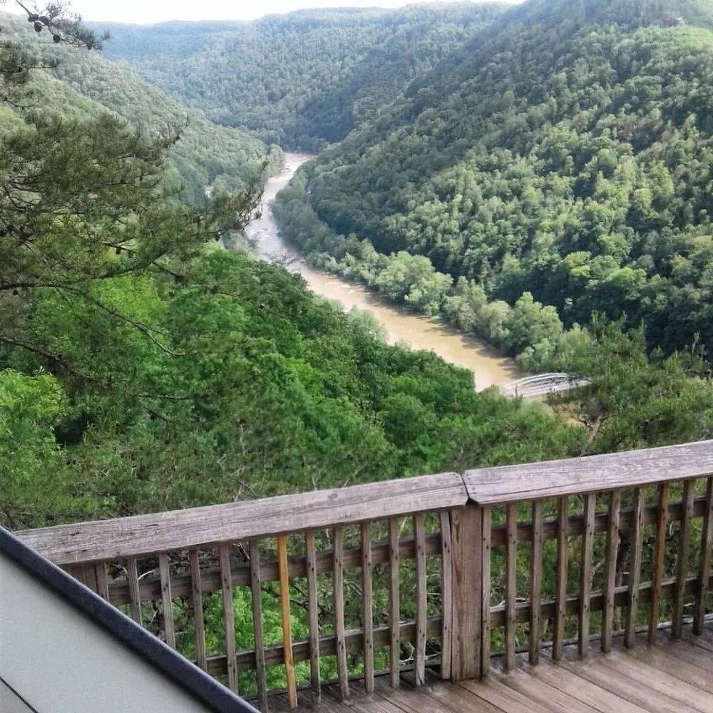 Expert lawn care service in Hamilton, AL - Gary's Lawn Care Service