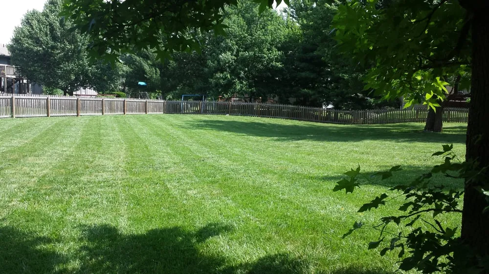 Trusted lawn care service with custom design in Kansas City, MO by Gary's Lawn Service, LLC