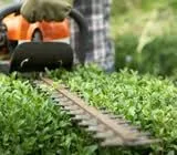 Professional yard cleanup service for outdoor upgrades across Kansas City, MO - Gary's Lawn Service, LLC