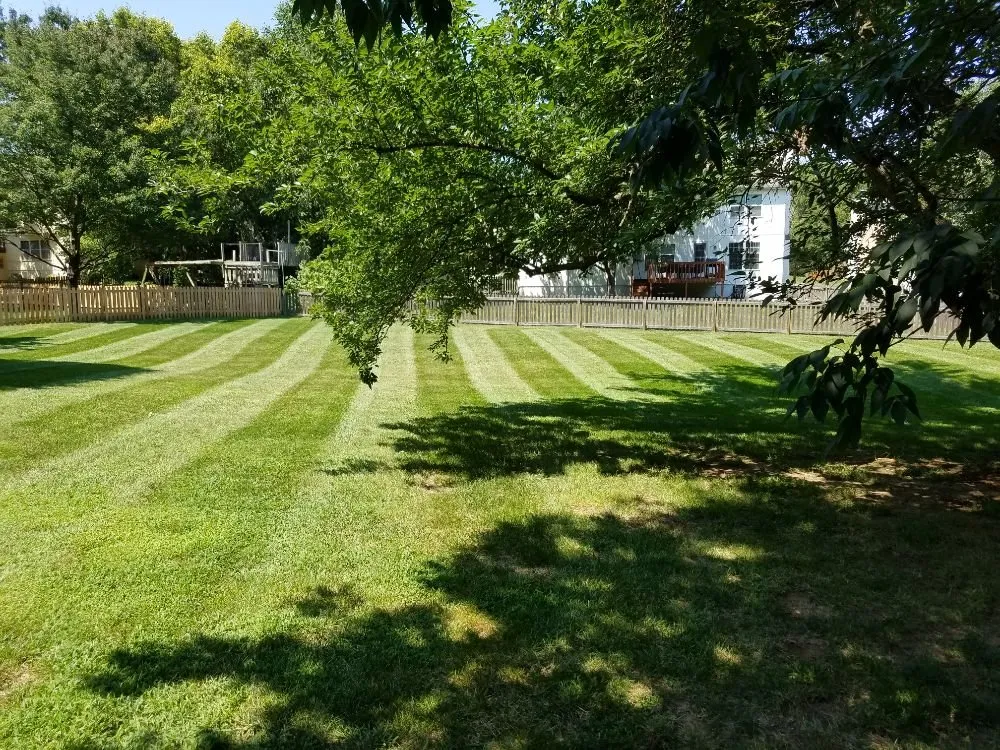 Professional yard cleanup service in Kansas City, MO by Gary's Lawn Service, LLC