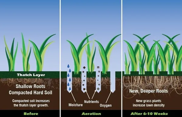 Gary's Lawn Solutions Logo