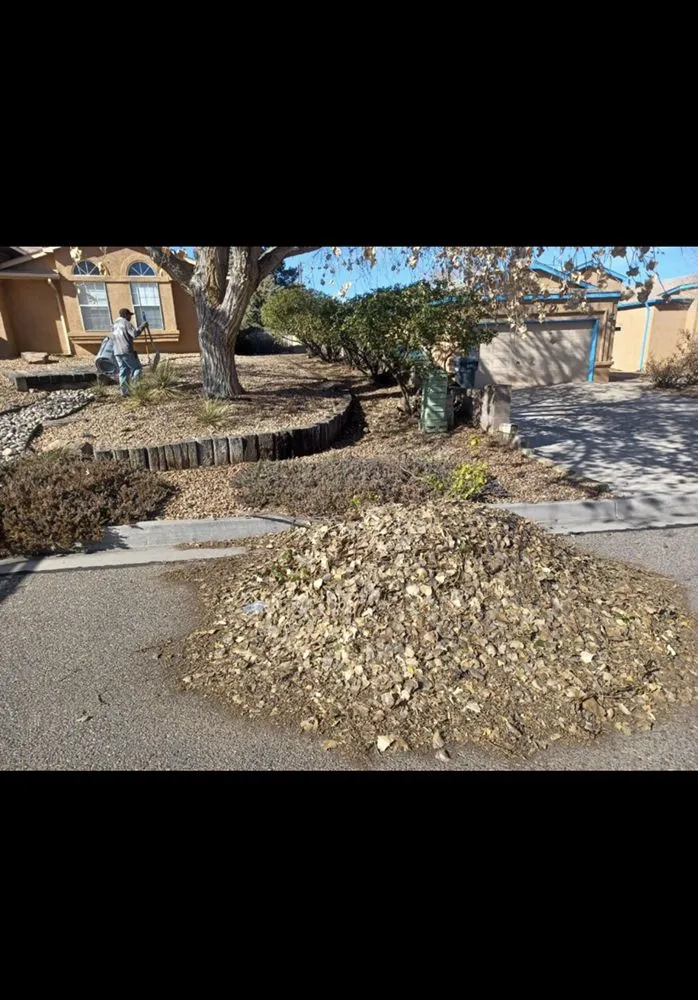 Top-rated garden landscaping for residential properties across Rio Rancho, NM - Gary's Tree and Yard Services