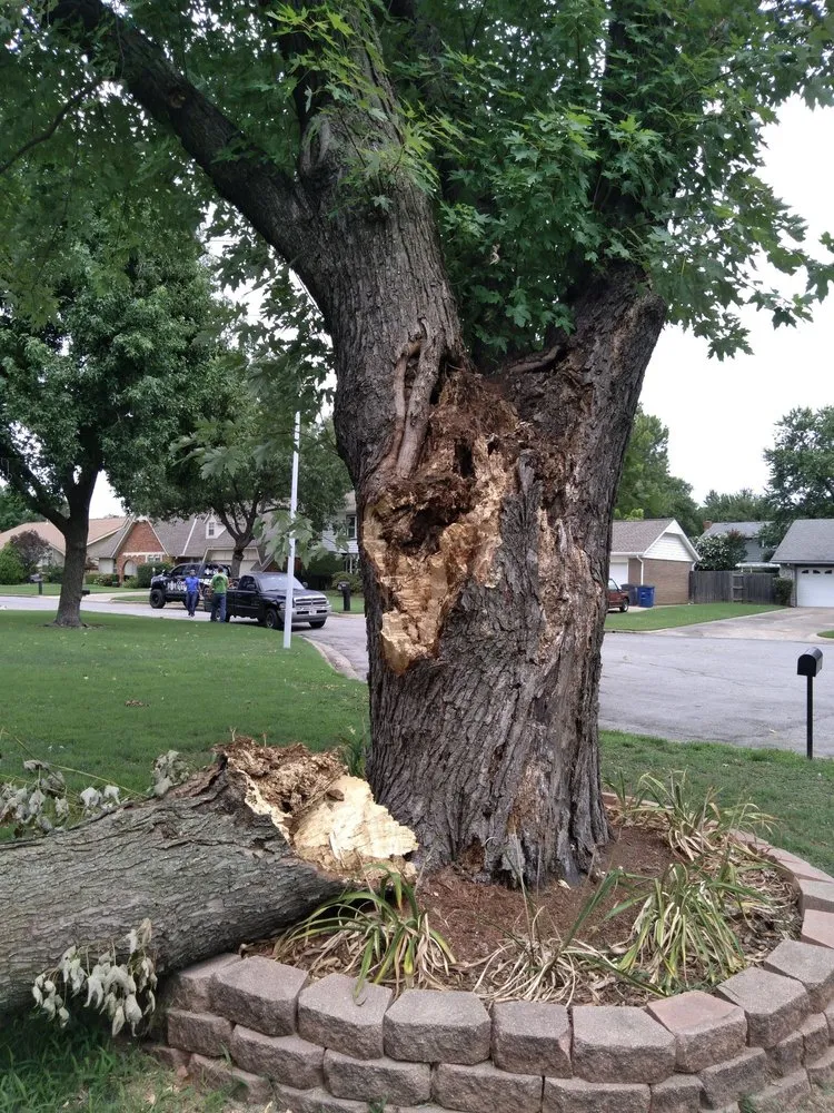 Affordable garden landscaping with custom design across Claremore, OK - Gary's Tree Service