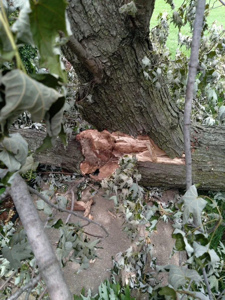 Expert landscape installation for residential properties across Claremore, OK - Gary's Tree Service