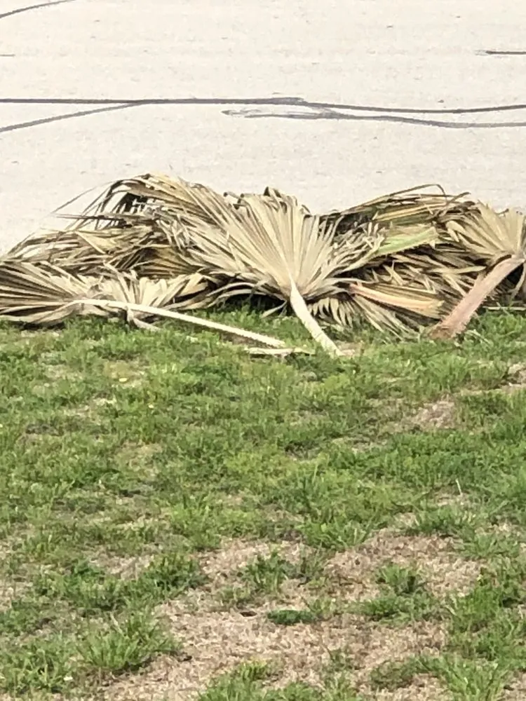 Trusted landscape design near you in Killeen, TX by Garza & Son Landscaping