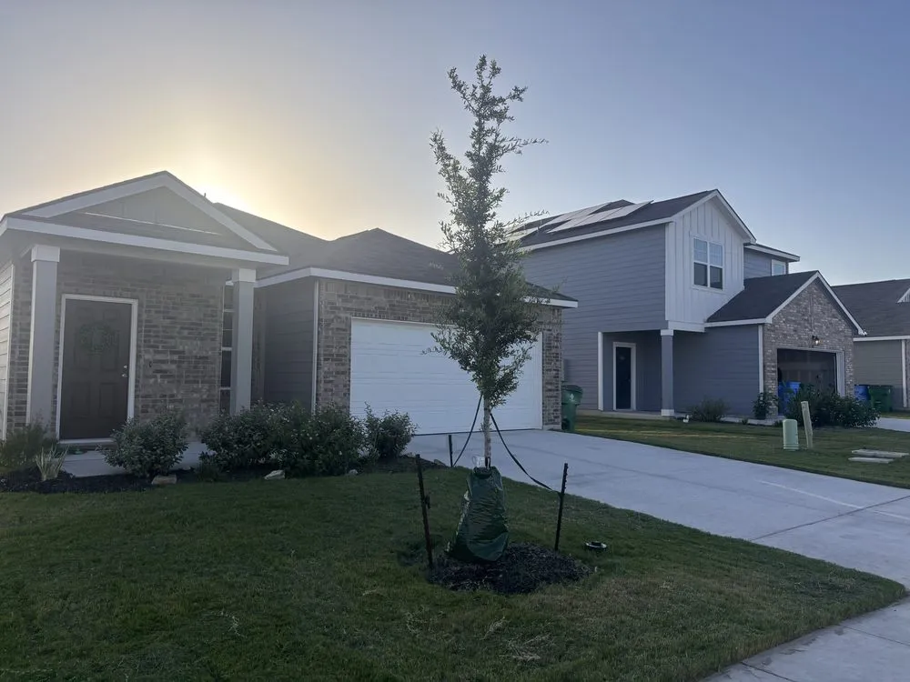 Top-rated landscaping services in Seguin, TX by Garza lawn & junk removal