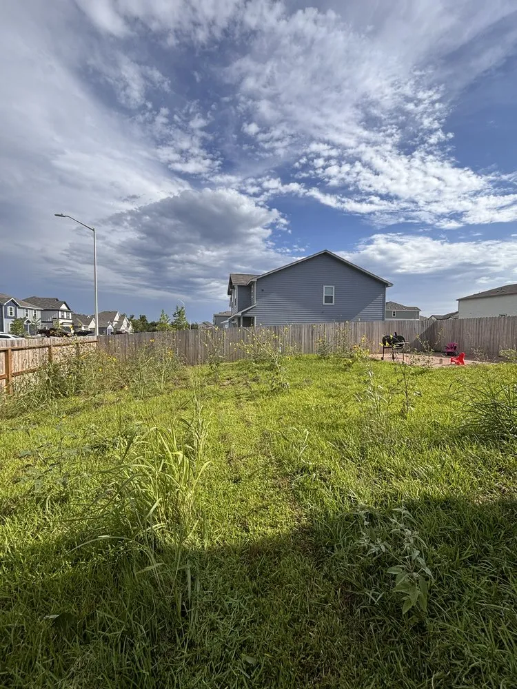 Professional landscape design with custom design across Seguin, TX - Garza lawn & junk removal