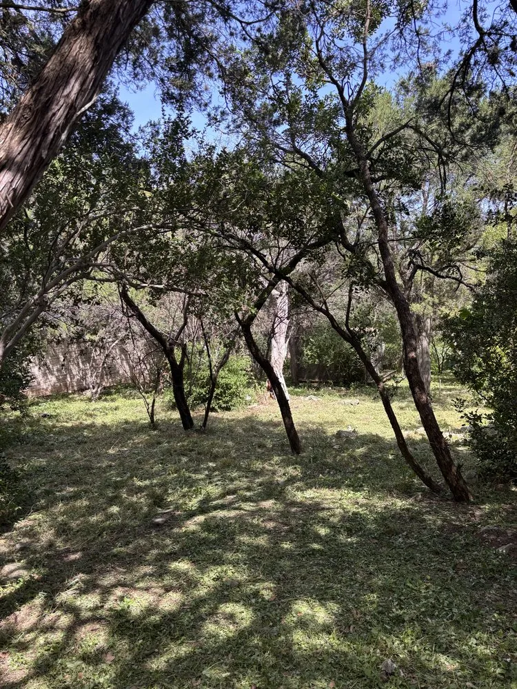 Top-rated outdoor landscaping experts serving Seguin, TX - Garza lawn & junk removal
