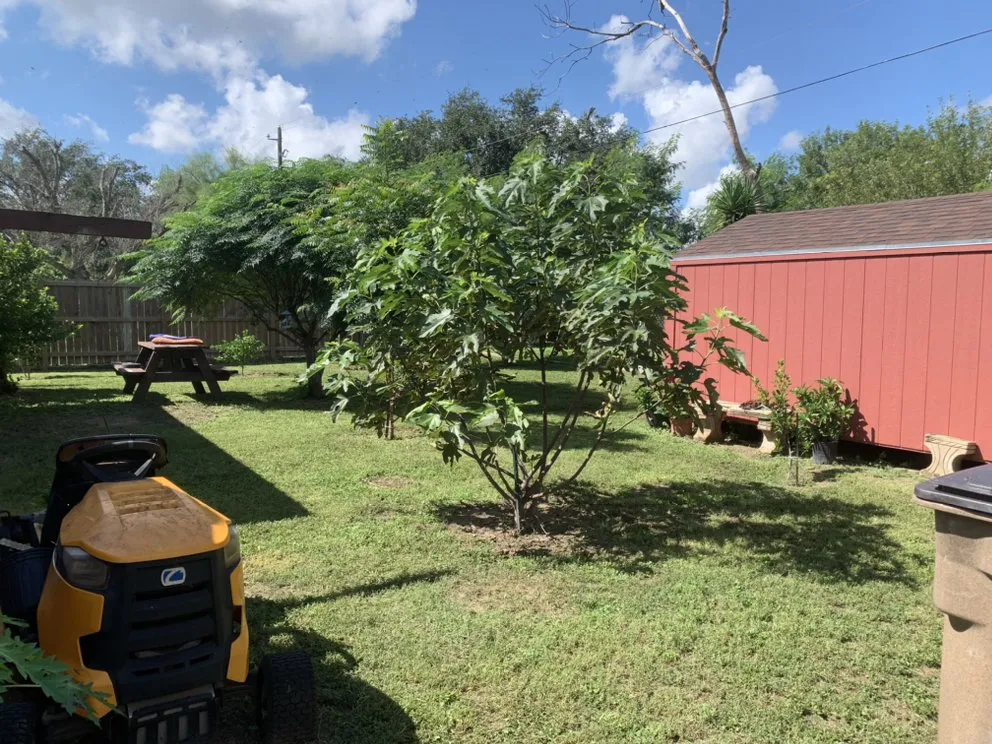 Trusted lawn care service in Donna, TX - Garza Lawn Care