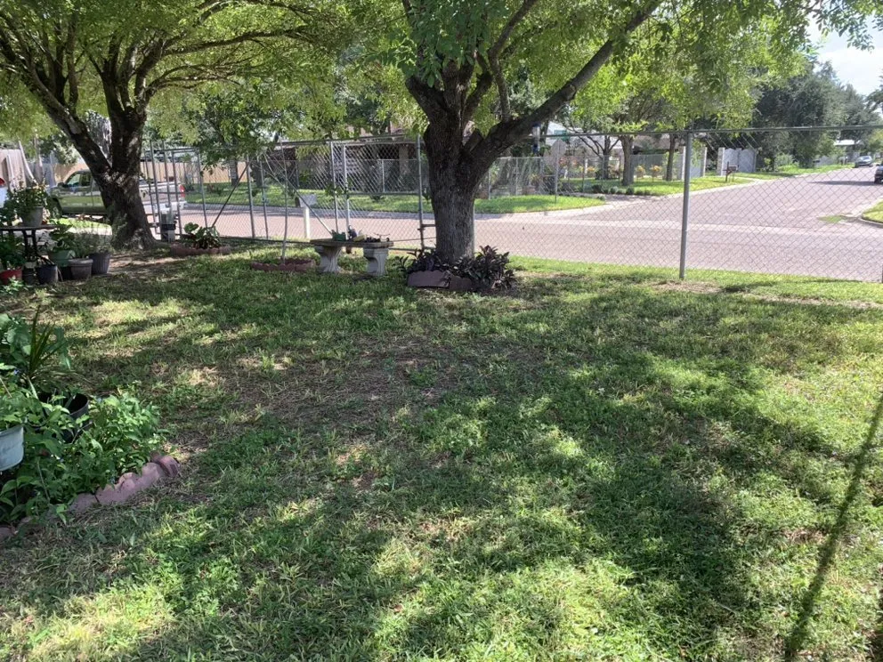 Local lawn care service for beautiful yards across Donna, TX - Garza Lawn Care