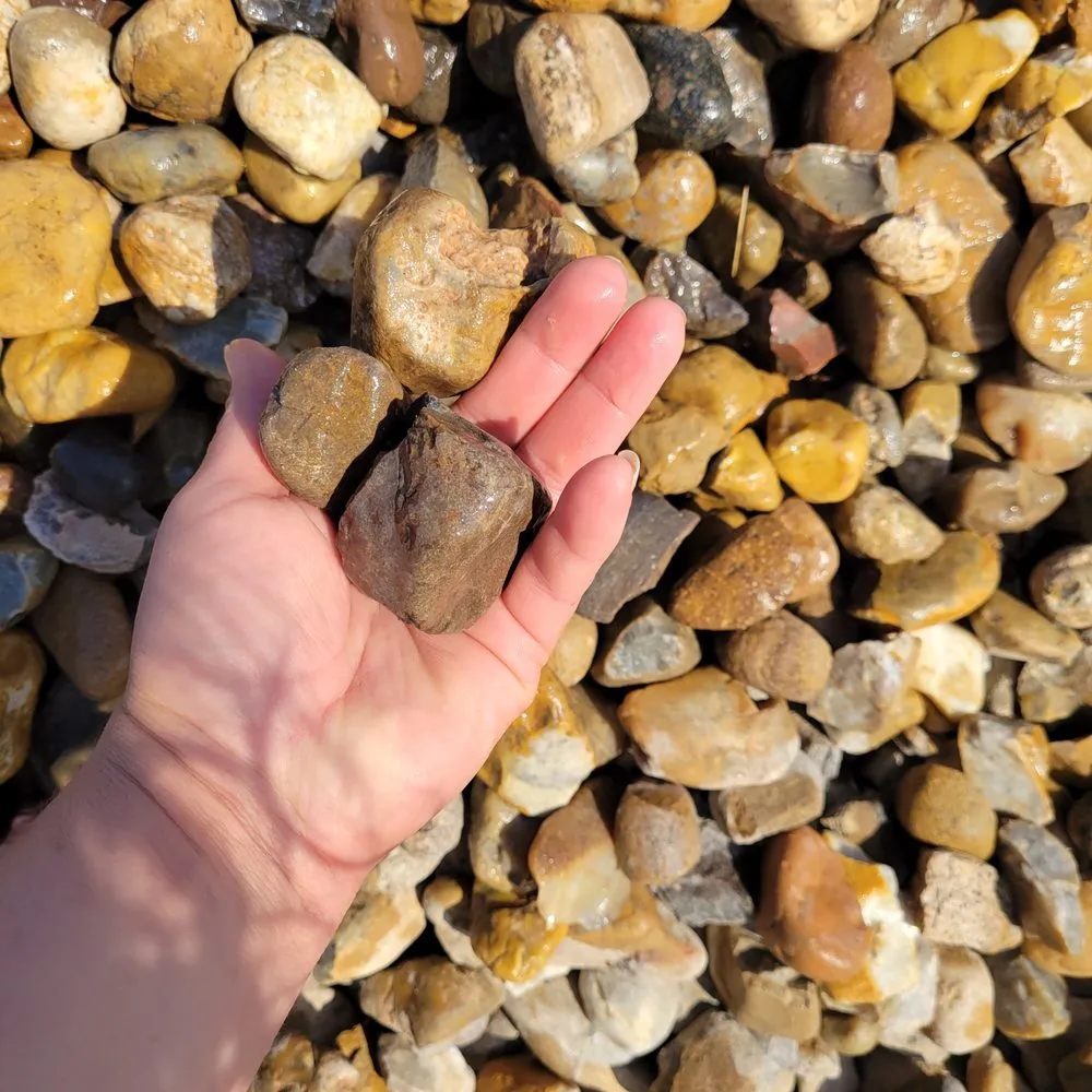 Trusted yard cleanup service for beautiful yards across Weslaco, TX - Garza Trucking