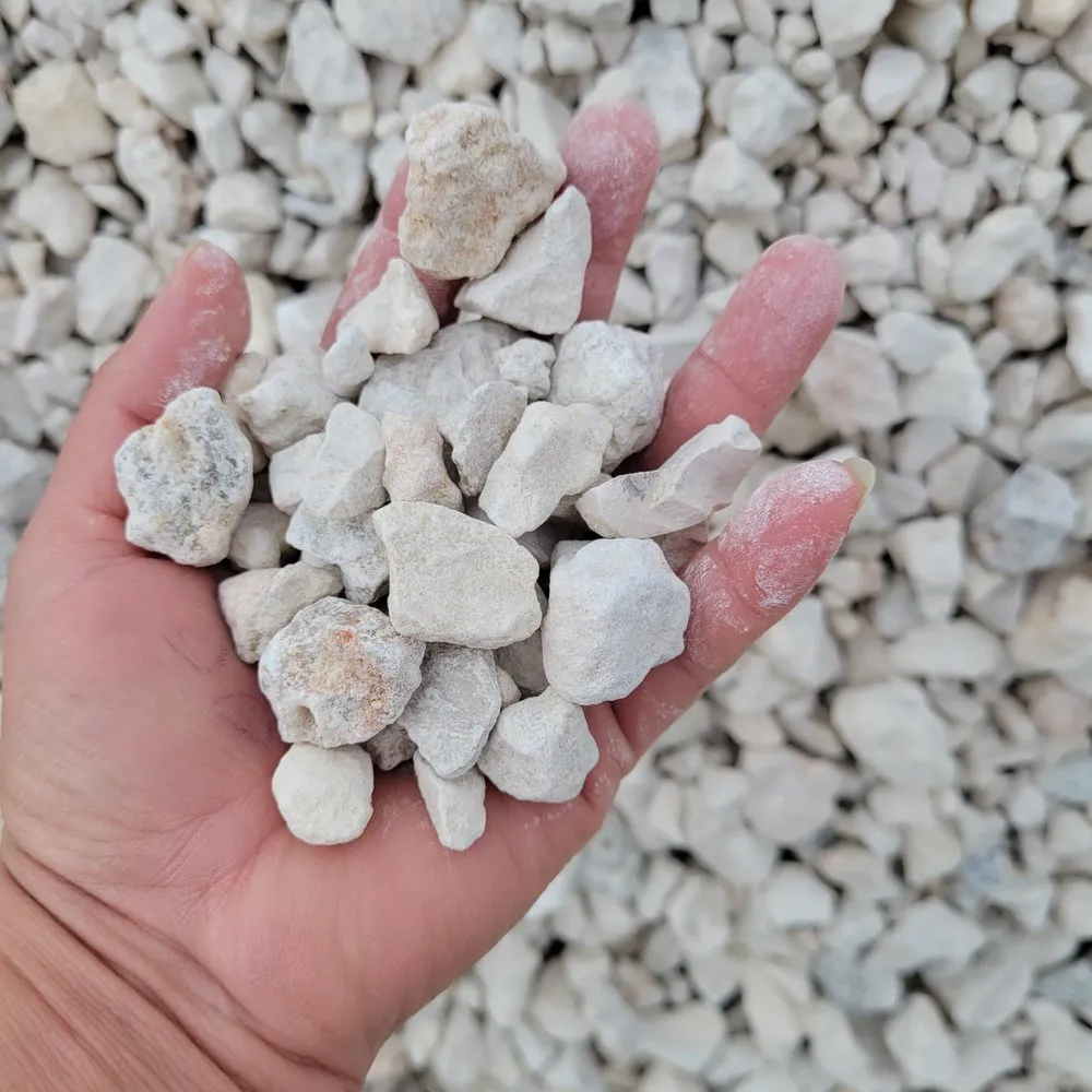 Top-rated yard maintenance experts serving Weslaco, TX - Garza Trucking