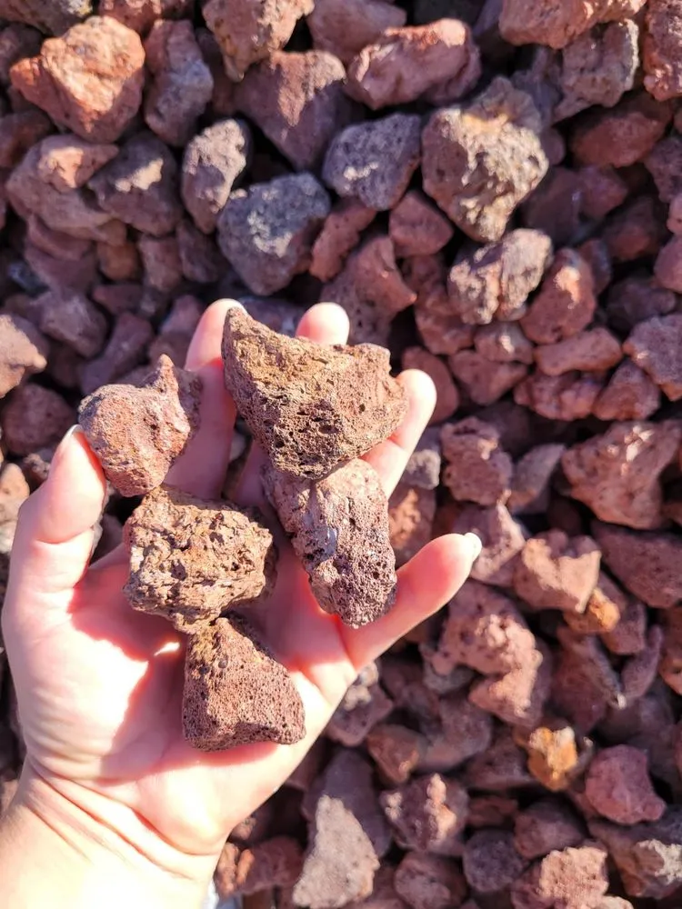 Trusted lawn care service experts serving Weslaco, TX - Garza Trucking