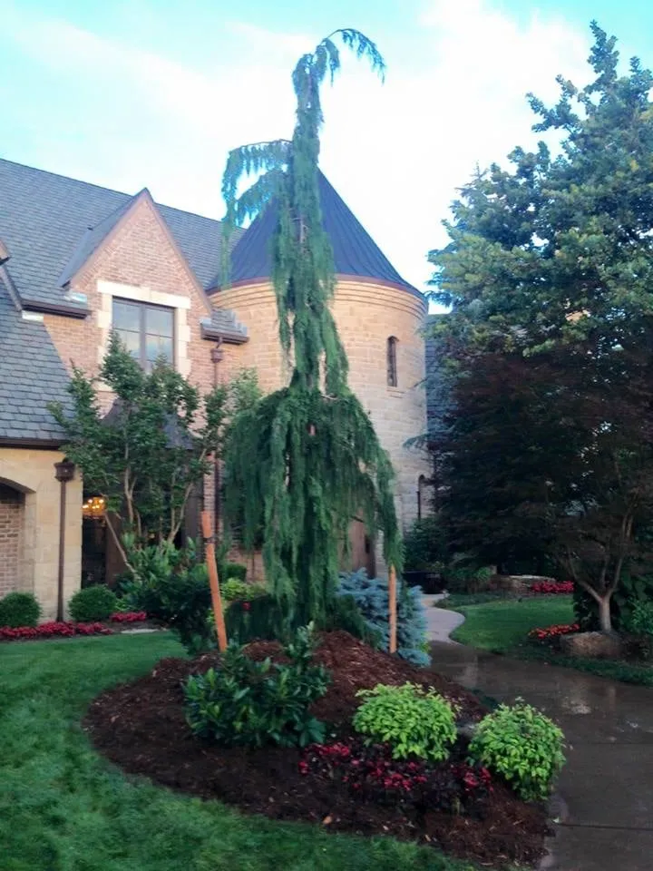 Top-rated outdoor landscaping in Moore, OK - Garza's Green Grass