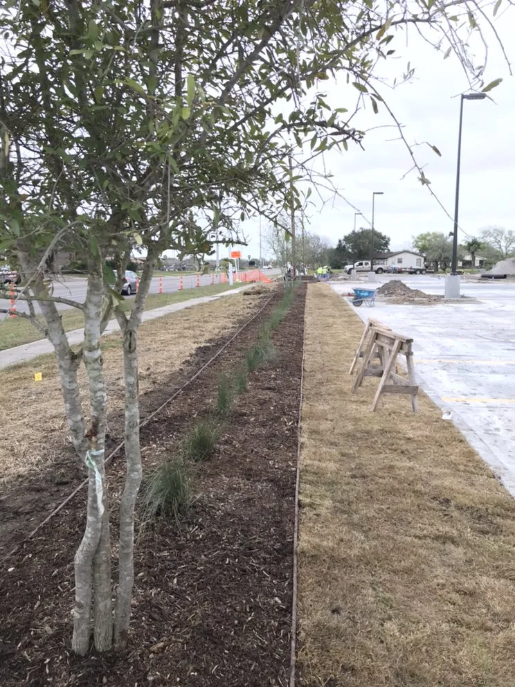 Expert landscape design for beautiful yards across Brownsville, TX - Garza’s Landscape & Tree Service