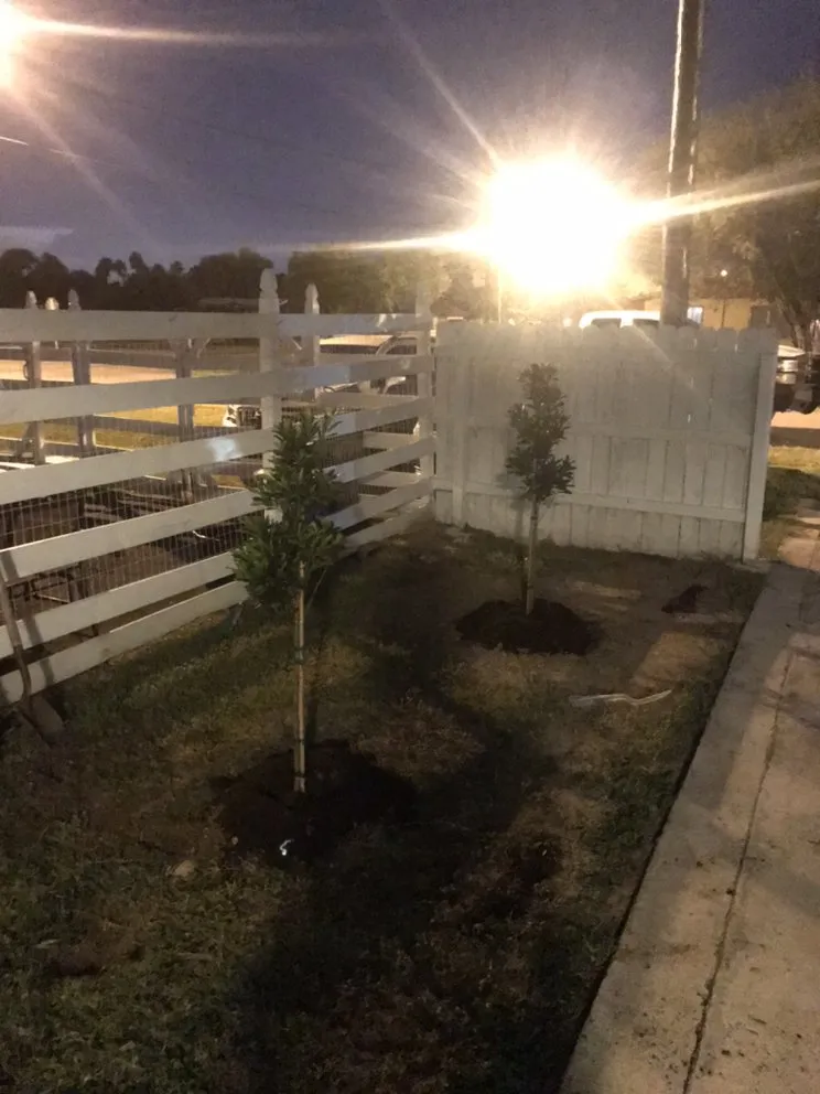 Custom yard cleanup service for residential properties in Brownsville, TX by Garza’s Landscape & Tree Service