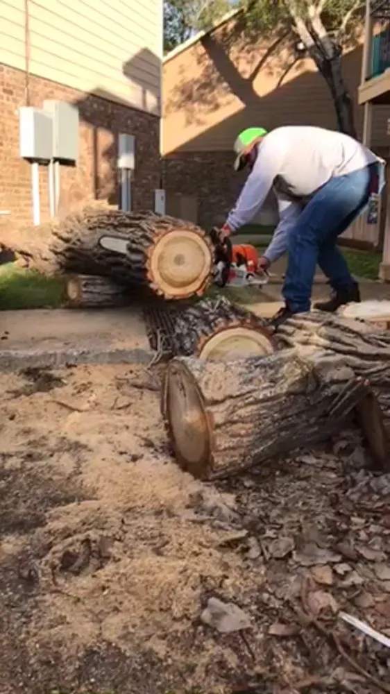 Professional landscaping services experts serving Brownsville, TX - Garza’s Landscape & Tree Service