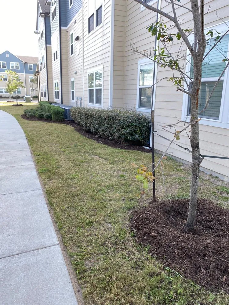 Reliable garden landscaping in Corp Christi, TX by Garza’s Landscape & Tree Service