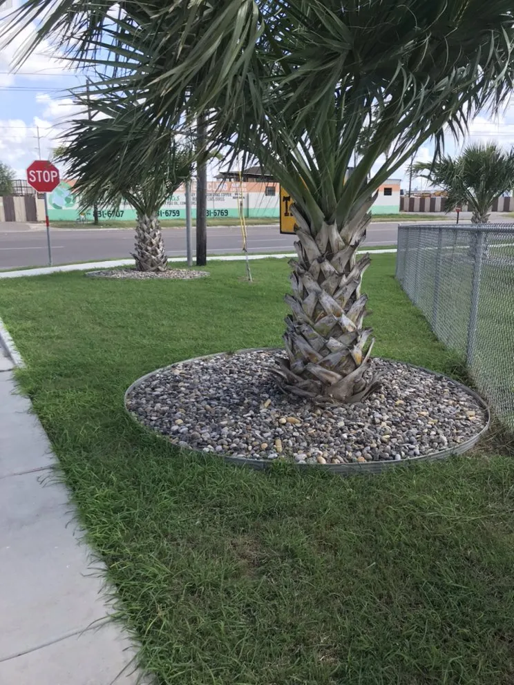 Top-rated lawn care service for year-round maintenance across Corp Christi, TX - Garza’s Landscape & Tree Service