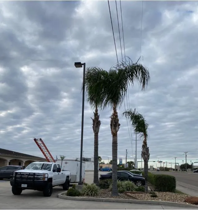 Trusted landscape installation near you across Corp Christi, TX - Garza’s Landscape & Tree Service