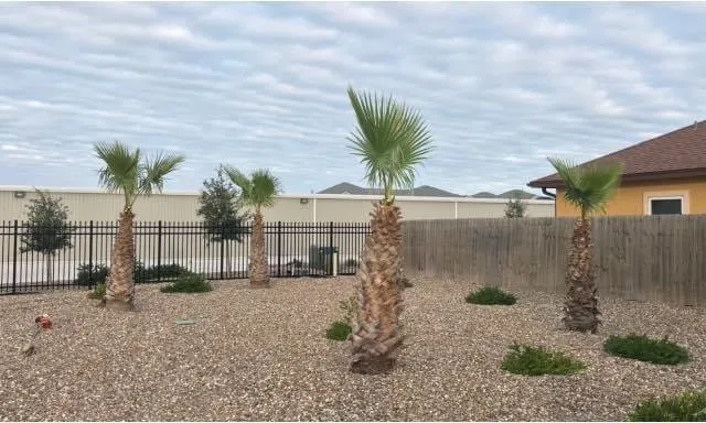 Custom yard cleanup service in Corp Christi, TX by Garza’s Landscape & Tree Service