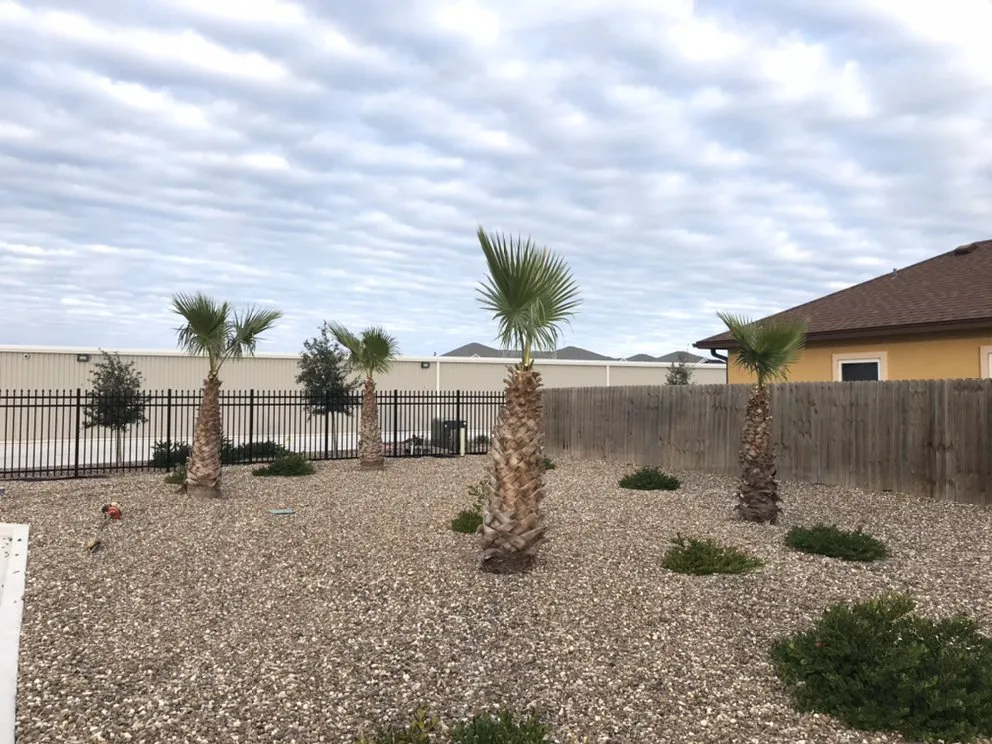 Trusted garden landscaping in Corp Christi, TX - Garza’s Landscape & Tree Service