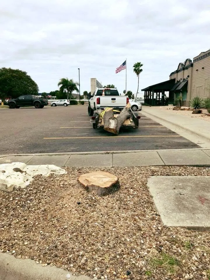Trusted yard cleanup service in Corp Christi, TX - Garza’s Landscape & Tree Service