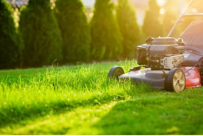 Professional lawn mowing service experts serving Grand Prairie, TX - Garza’s lawn care