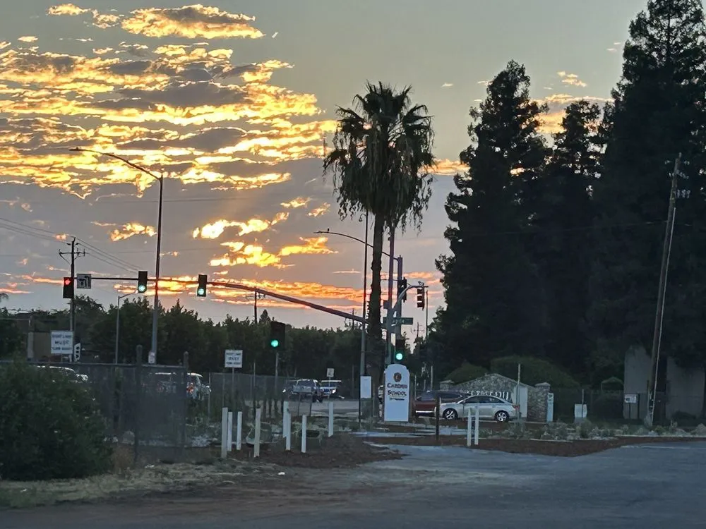 Trusted yard cleanup service with custom design across Fresno, CA - Garzon Landscape & Maintenance