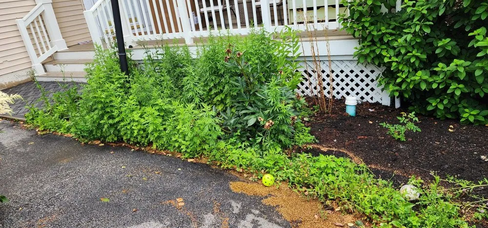 Trusted lawn mowing service in Middletown, NY - Garzon landscaping