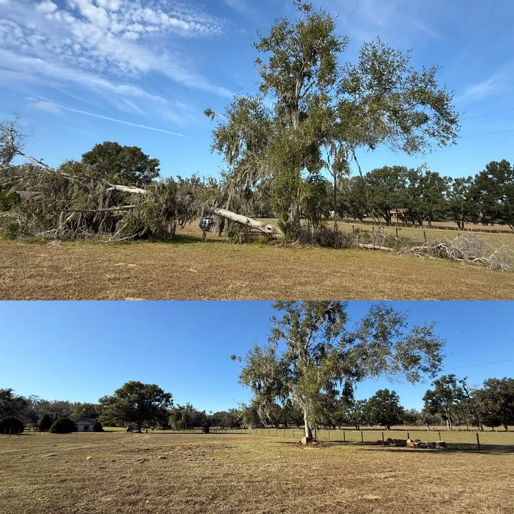 Professional landscaping services in Brooksville, FL by GAS Land Management